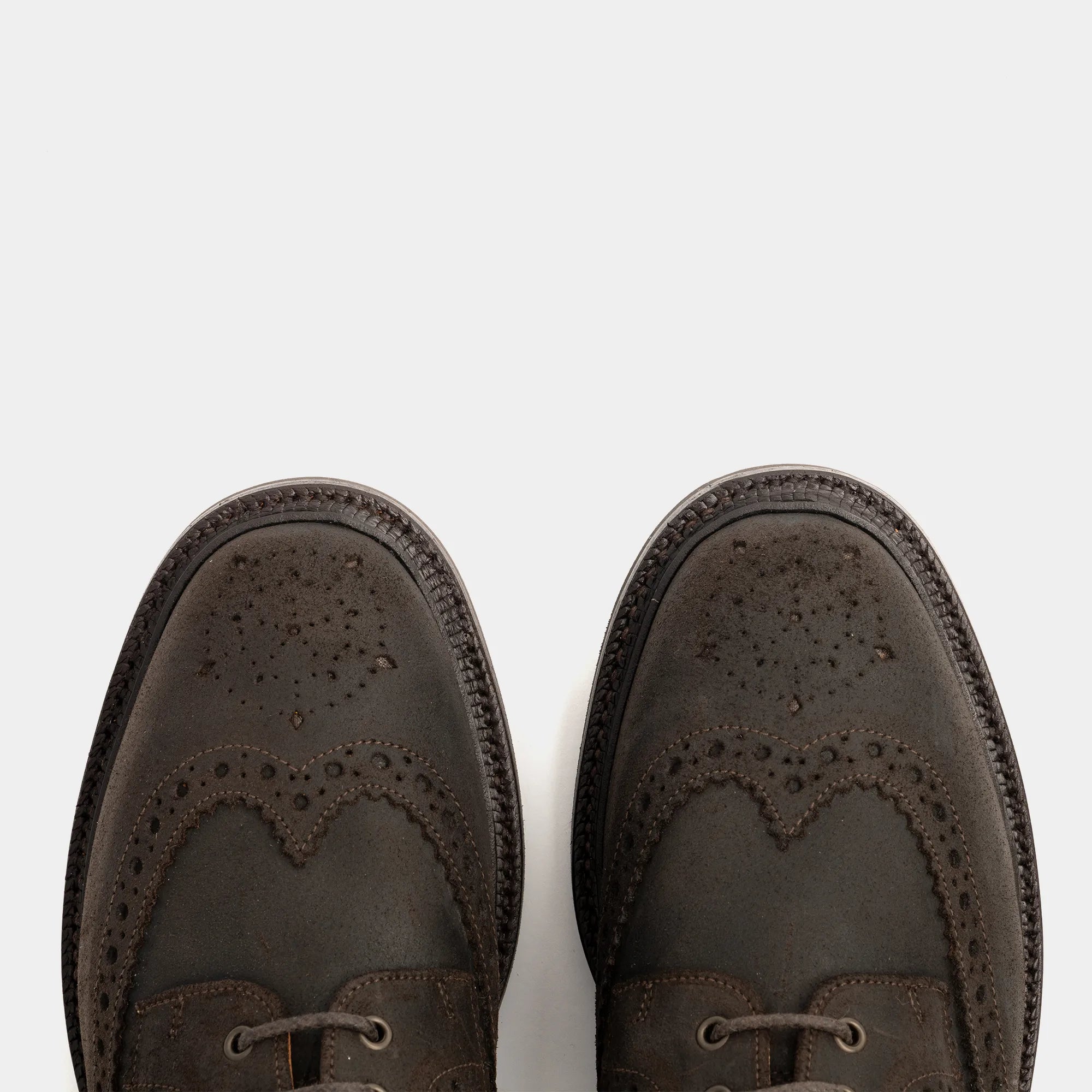 RISHTON // WALNUT